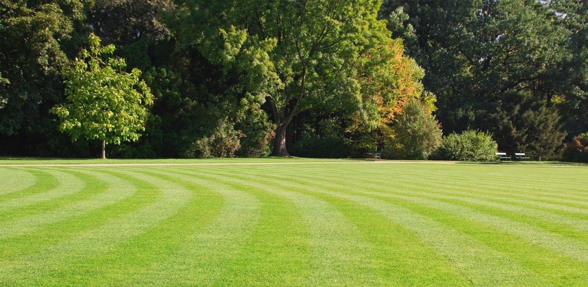 Leicester Lawn Mowing