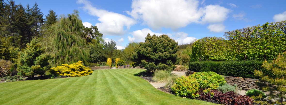 Leicester Lawn Mowing - Our Services